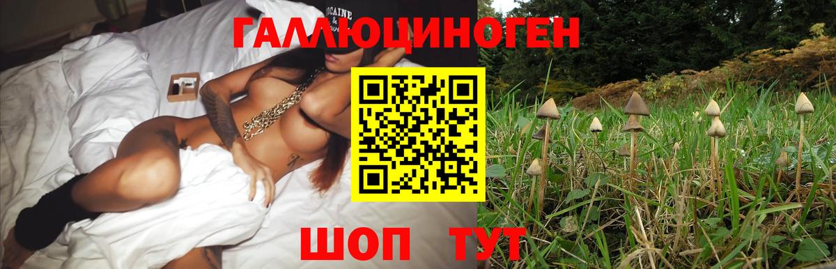Бийск  Галлюциногенные грибы Cubensis  Вход с VPN 
